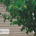 Сайдинг Ю-Пласт TIMBERBLOCK Пихта (Тимберблок) Cахалинская купить в Красноярске