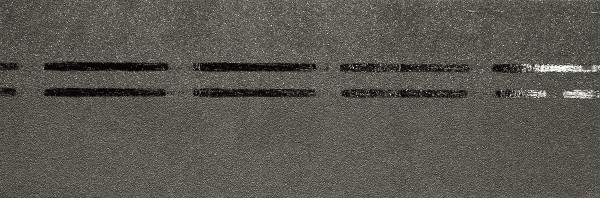 Коньково-карнизная черепица Docke Premium, авокадо купить в Красноярске