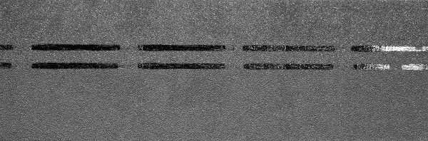 Коньково-карнизная черепица Docke Premium, черника купить в Красноярске