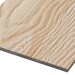 Фиброцементные панели FCSPRO Decor Wood Лиственница купить в Красноярске