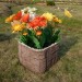 Цветник КАНЬОН купить в Красноярске