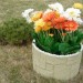 Цветник КАНЬОН купить в Красноярске